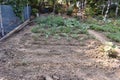 Vegetable Garden with Growing Plants.