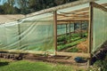 Vegetable garden inside a greenhouse