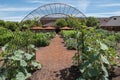 Vegetable garden at Napa Valley winery Royalty Free Stock Photo