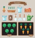 Vegetable garden planner flat design.Beds with cabbage, carrots.