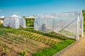 Vegetable garden with portable greenhouses for a small gardens