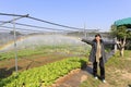 Vegetable garden rainbow at yuanqian community, amoy city, china