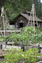 Vegetable Garden with Tool Shed Royalty Free Stock Photo