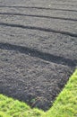 Vegetable garden trench furrows.