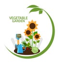 Vegetable garden