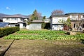 Vegetable garden village rural in Japan Royalty Free Stock Photo