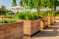 Vegetable garden with wooden raised beds for herbs, fruits and vegetables