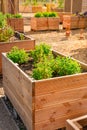 Vegetable garden with wooden raised beds for herbs, fruits and vegetables