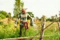 A vegetable gardener is using a watering can to water vegetables growing in the garden in the evening