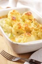 Vegetable gratin Royalty Free Stock Photo