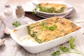 Vegetable gratin, spinach and cheese lasagne