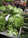 Vegetable in greengrocer