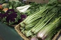 Vegetable in greengrocer