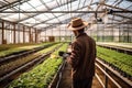 A vegetable grower works in a large industrial greenhouse growing vegetables and herbs.