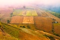 Vegetable growers in the valley