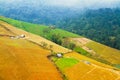 Vegetable growers in the valley