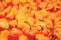 Vegetable - Habanera Pepper