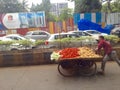 Vegetable hand cart vendor