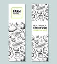 Vegetable Hand Drawn Vintage Vector Banner. Farm Market Poster. Vegetarian Sketch Of Organic Products. Detailed Food
