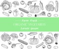 Vegetable Hand Drawn Vintage Vector Illustration. Farm Market Poster. Vegetarian Set Of Organic Products.