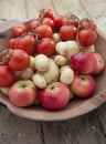 Vegetable harvest