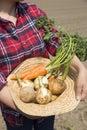 Vegetable harvest image