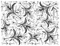 Hand Drawn Background of Kariyat or Andrographis Paniculata Plants