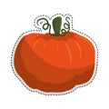 vegetable icon image Royalty Free Stock Photo