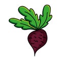 Vegetable icon image Royalty Free Stock Photo