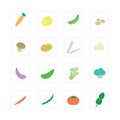 Vegetable icon set