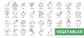 Vegetable icon set. Minimal thin line style. Outline icons collection vegetables