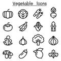 Vegetable icon set in thin line style