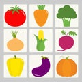 Vegetable icon set. Tomato, pepper, carrot, broccoli, onion, sweet corn, beet, eggplant, aubergine, pumpkin. Fresh farm healthy fo