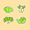 Vegetable icons set collection lettuce radish broccoli cabbage organic fresh taste flavor with color flat cartoon Royalty Free Stock Photo