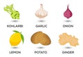 Vegetable icons set vector illustration. Collection of farm products for restaurant Royalty Free Stock Photo