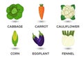 Vegetable icons set vector illustration. Collection of farm products for restaurant Royalty Free Stock Photo