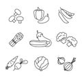 Vegetable icons thin line art set