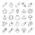 Vegetable icons vector set. Collection of products Royalty Free Stock Photo