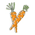 Vegetable illustration, line art. Carrots, black line with the addition of colored spots. Minimal design, icon Royalty Free Stock Photo