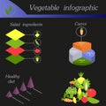 Vegetable infographic. Template for cycling diagram