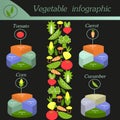 Vegetable infographic. Template for cycling diagram