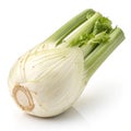 Vegetable isolated on white background Royalty Free Stock Photo