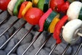 Vegetable Kabobs Royalty Free Stock Photo