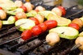 Vegetable kebab. Royalty Free Stock Photo