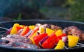 Vegetable kebabs on an outdoor barbecue