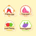 Vegetable label element organic chili local onion fresh paprika fresh eggplant with flat style vector design