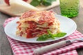 Vegetable lasagna Royalty Free Stock Photo