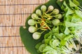 Vegetable on leaf and bamboo blind floor