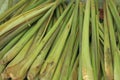 Vegetable - lemongrass Royalty Free Stock Photo