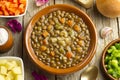 Vegetable lentil soup Royalty Free Stock Photo